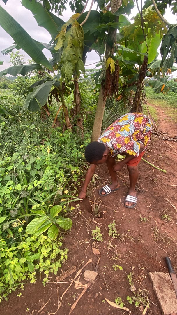 A Saturday Tech Farm School student examining a plant in the field